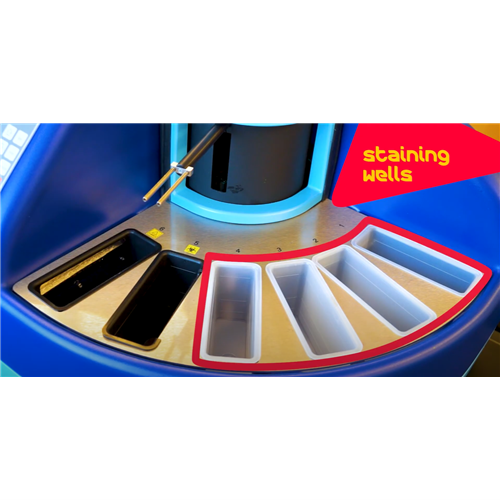 Staining Wells Graphic